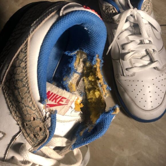 Nike Dunk Low CL Jordan Pack - Picture 4 of 4